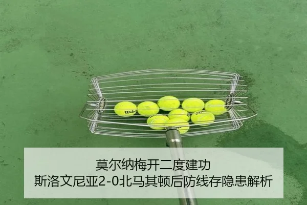 mo-er-na-mei-kai-er-du-jian-gong-si-luo-wen-ni-ya-bei-ma-qi-dun-hou-fang-xian-cun-yin-huan-jie-xi-2-205.jpg